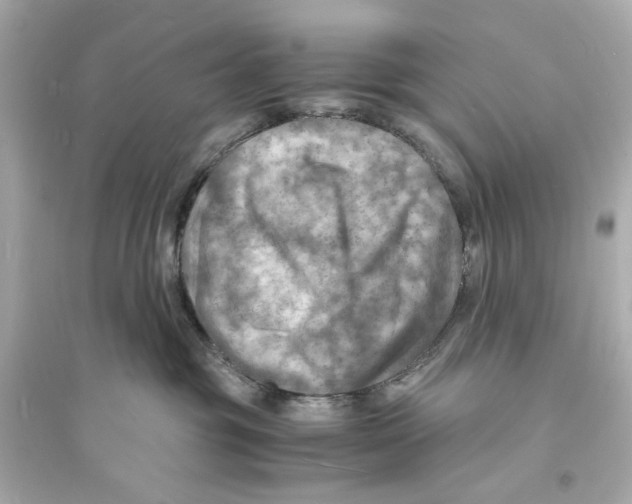 X0000093730381200711131044
