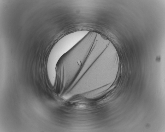 X0000093730382200711131044