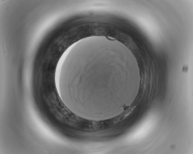 X0000093730383200711131044