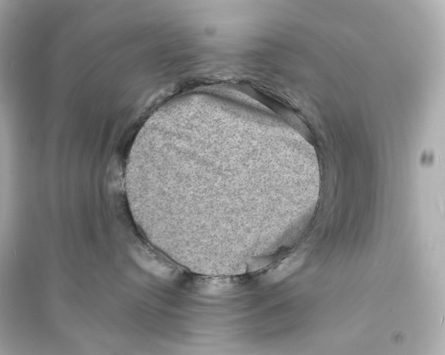 X0000093730384200711131044