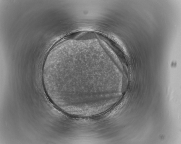 X0000093730385200711131043