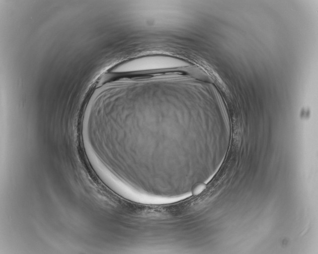 X0000093730386200711131043