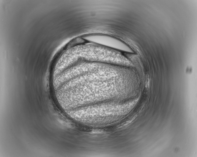 X0000093730388200711131043