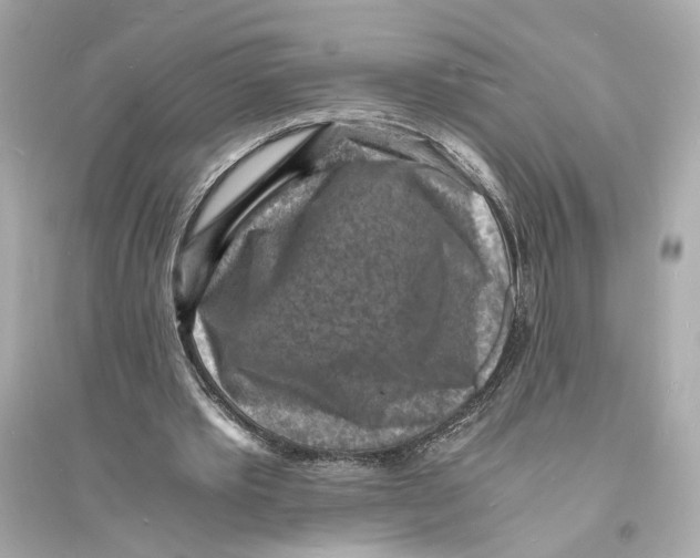 X0000093730389200711131043