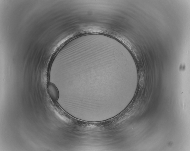 X0000093730390200711131043