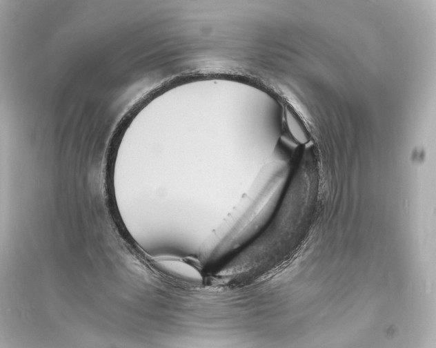 X0000093730391200711131043