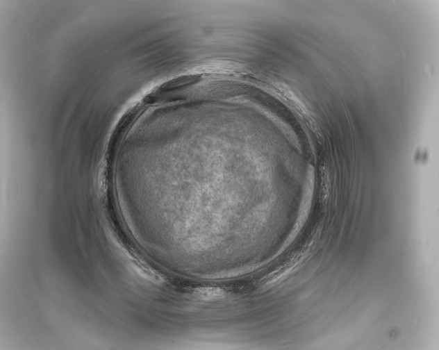 X0000093730392200711131043