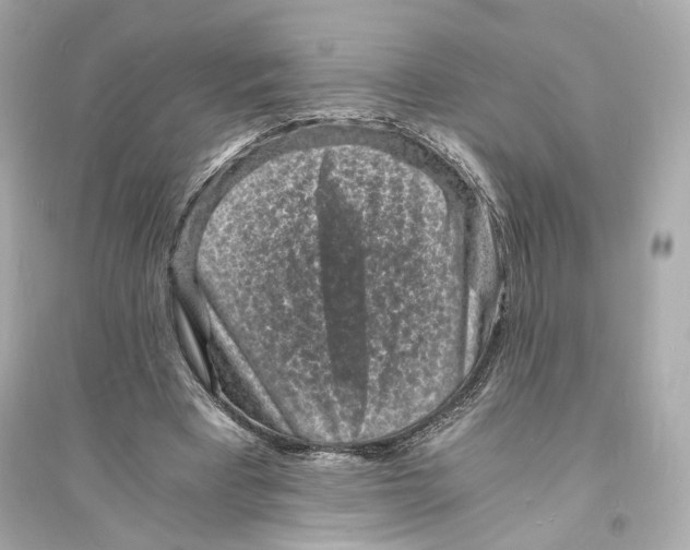 X0000093730393200711131043