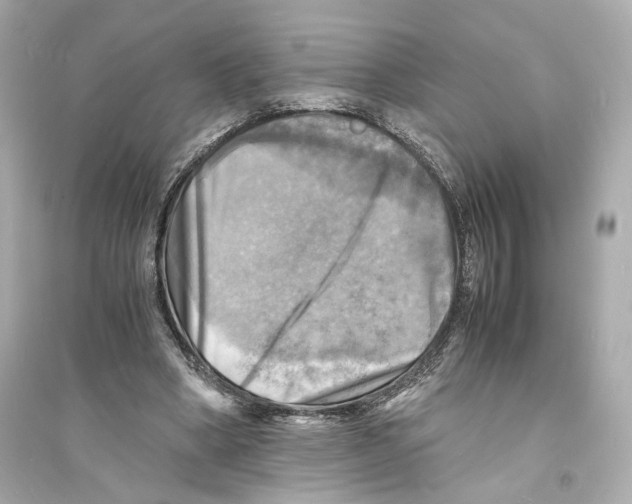 X0000093730394200711131043