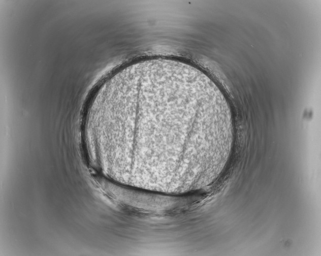 X0000093730395200711131043