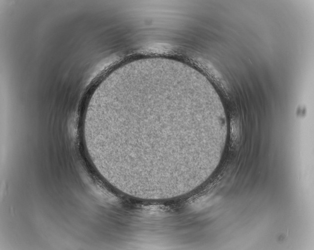 X0000093730396200711131043