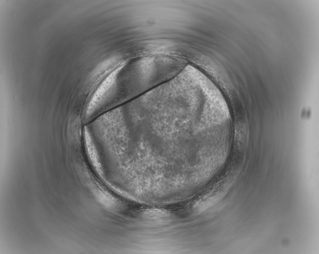 X0000093730397200711131043