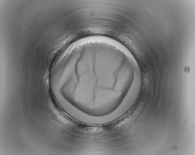 X0000093730398200711131043