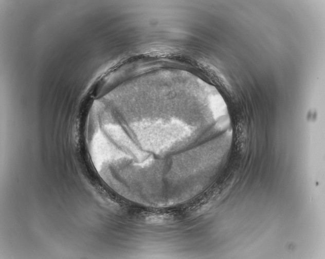 X0000093730400200711131043