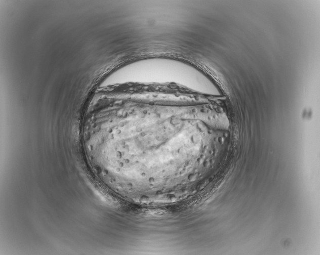 X0000093730401200711131043