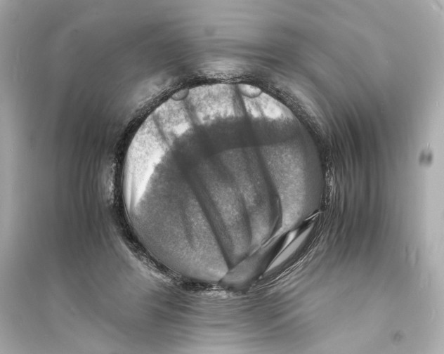 X0000093730404200711131043