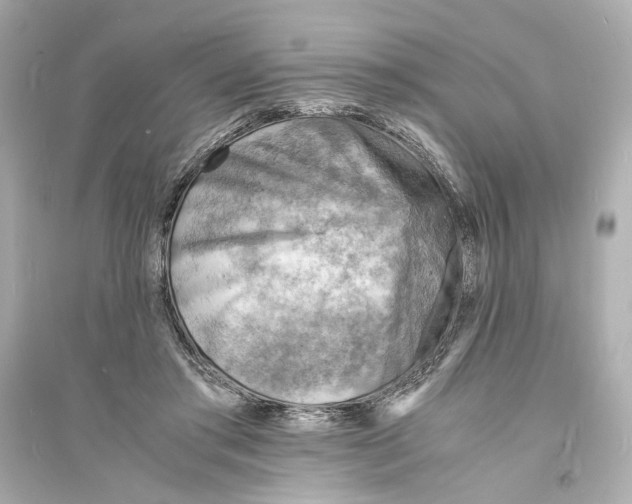 X0000093730405200711131043