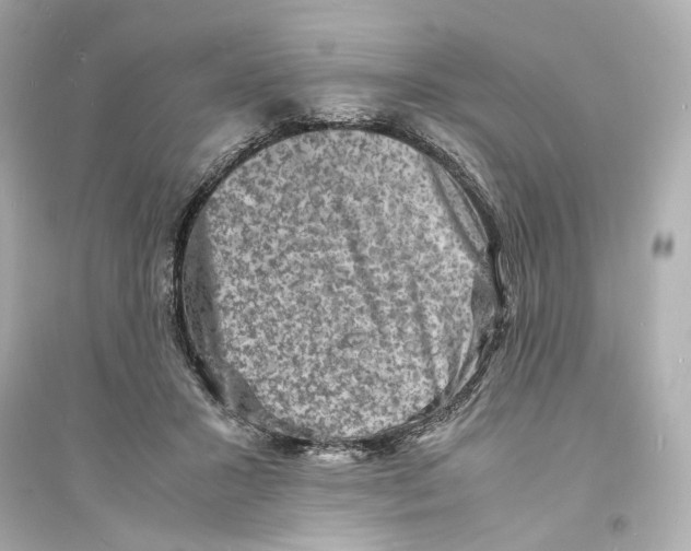 X0000093730407200711131043