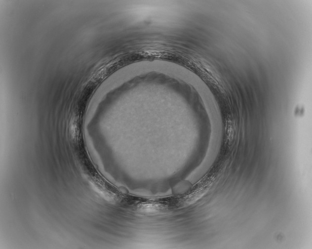 X0000093730408200711131043