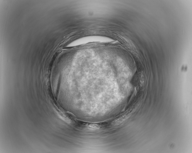 X0000093730409200711131043