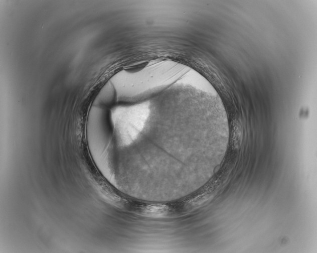 X0000093730410200711131043