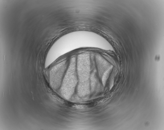 X0000093730417200711131043