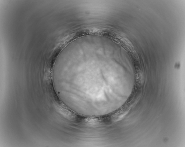 X0000093730419200711131043