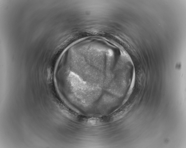 X0000093730420200711131043