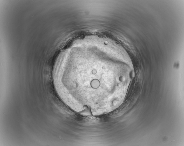 X0000093730421200711131043