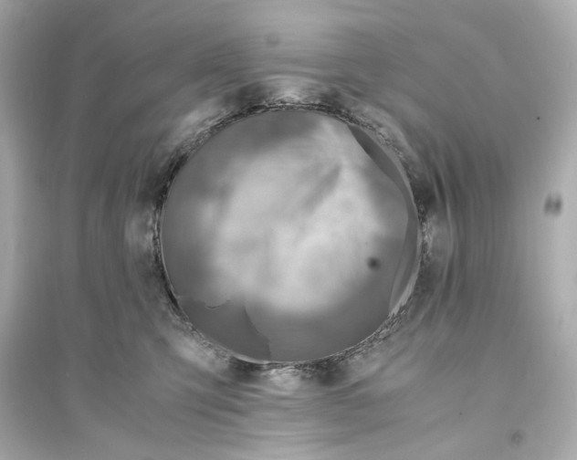 X0000093730423200711131043