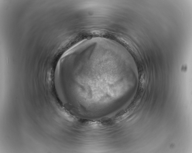 X0000093730424200711131043