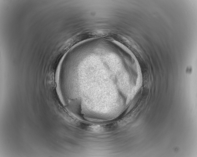 X0000093730425200711131042