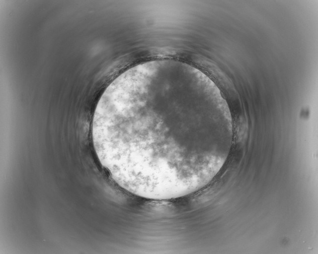 X0000093730427200711131042
