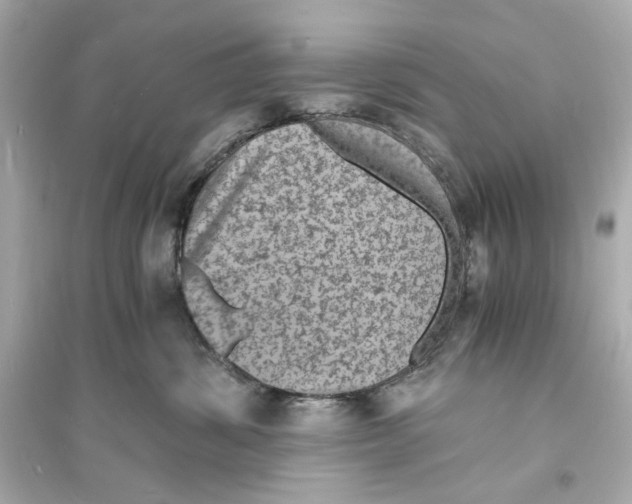 X0000093730428200711131042