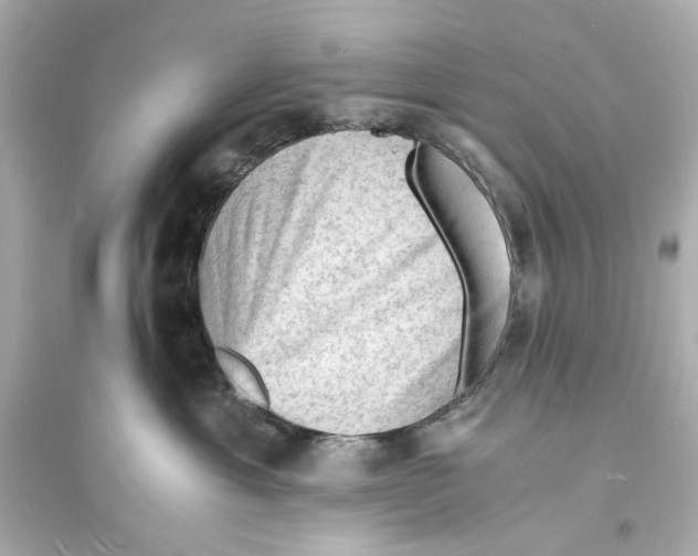 X0000093730429200711131042
