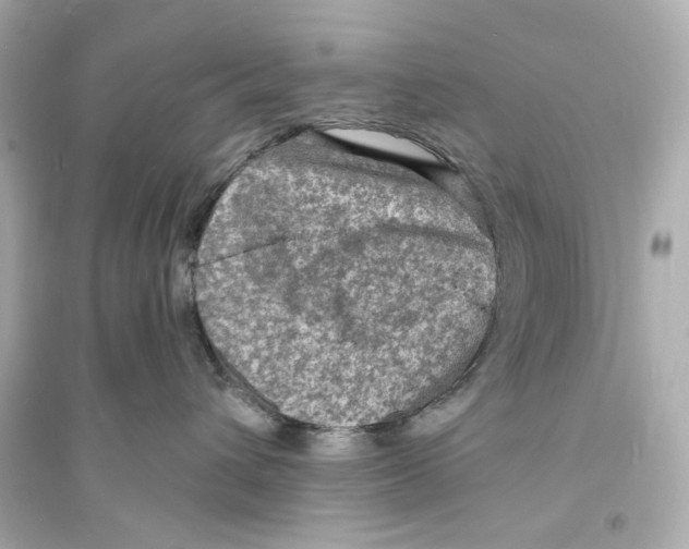 X0000093730432200711131042