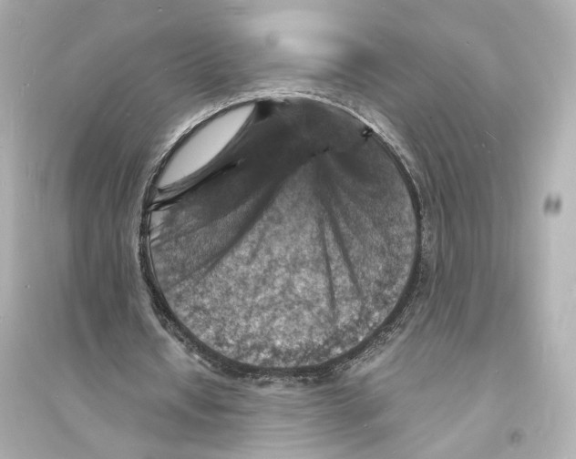 X0000093730434200711131042