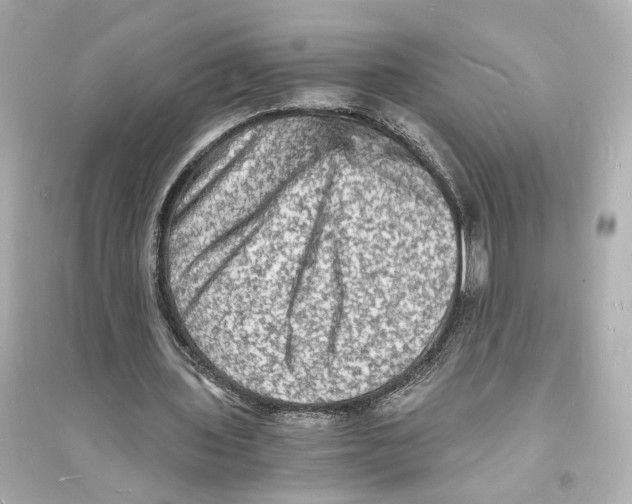 X0000093730435200711131042