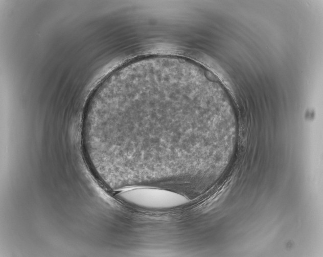 X0000093730437200711131042