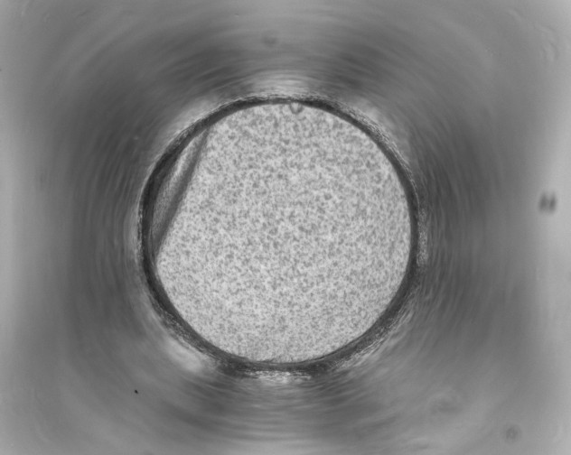 X0000093730439200711131042