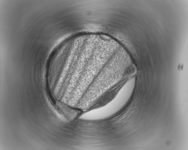 X0000093730440200711131042