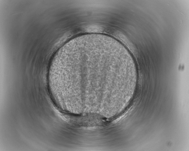 X0000093730441200711131042