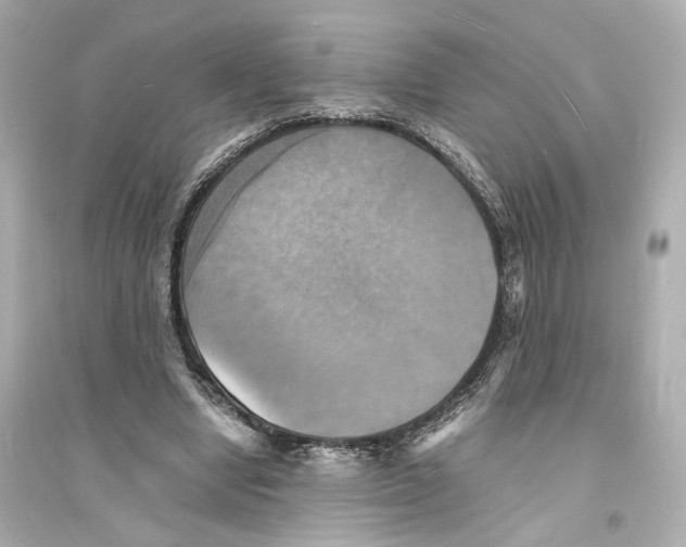 X0000093730442200711131042