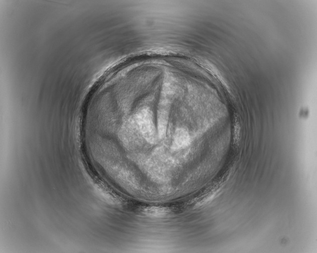 X0000093730444200711131042