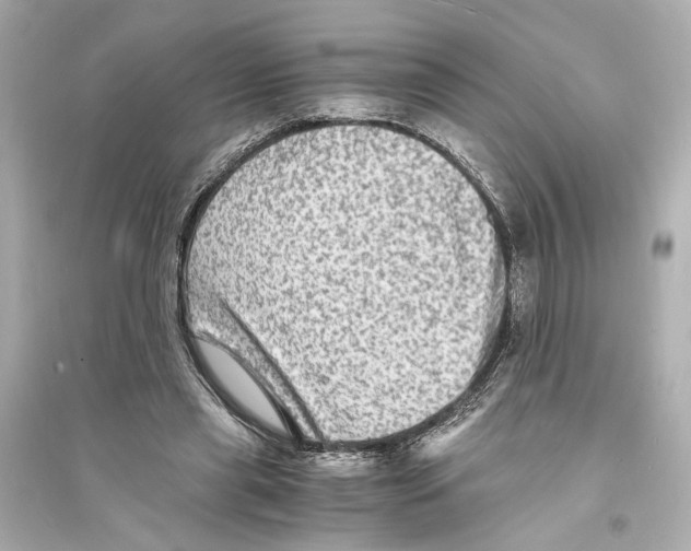 X0000093730445200711131042