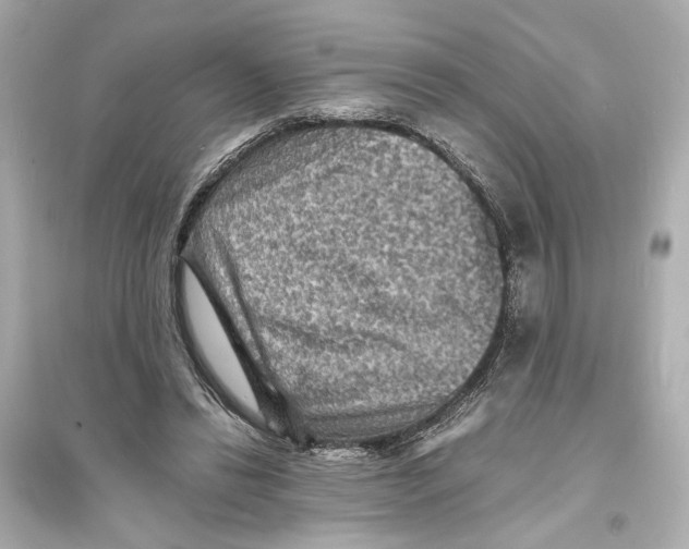 X0000093730446200711131042