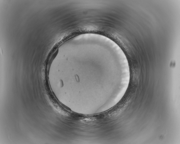 X0000093730447200711131042