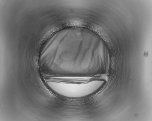 X0000093730449200711131042