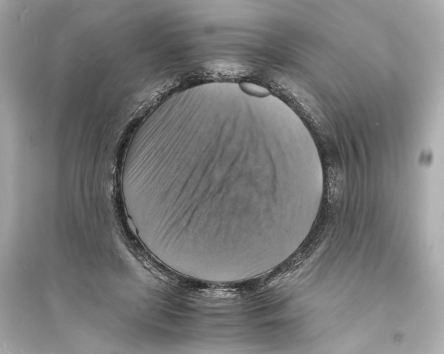 X0000093730451200711131042