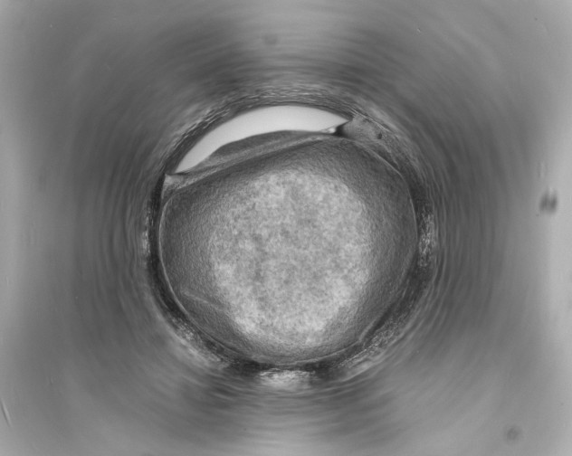 X0000093730452200711131042